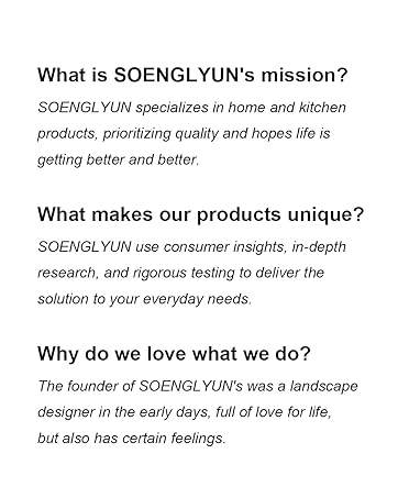 soenglyun electric frother