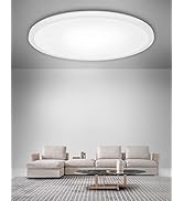 Peasur LED Ceiling Light