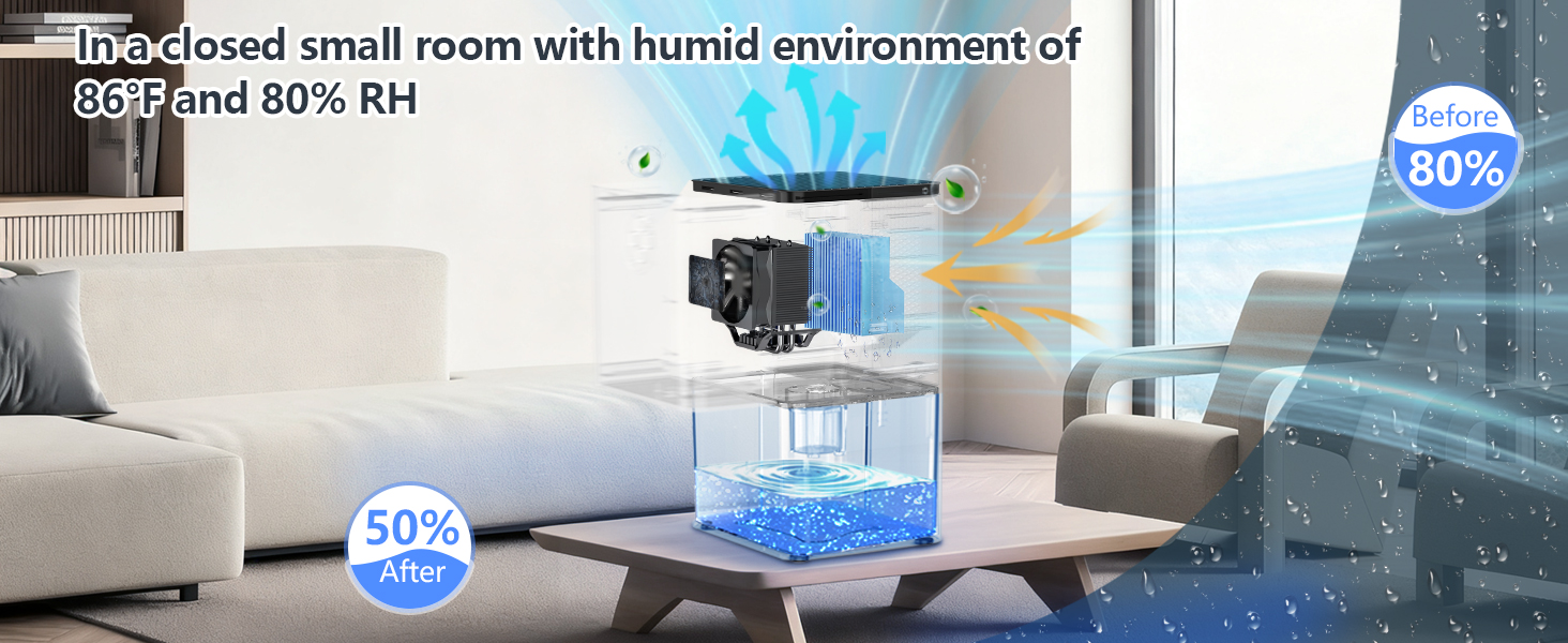 Powerful dehumidification for a comfortable space