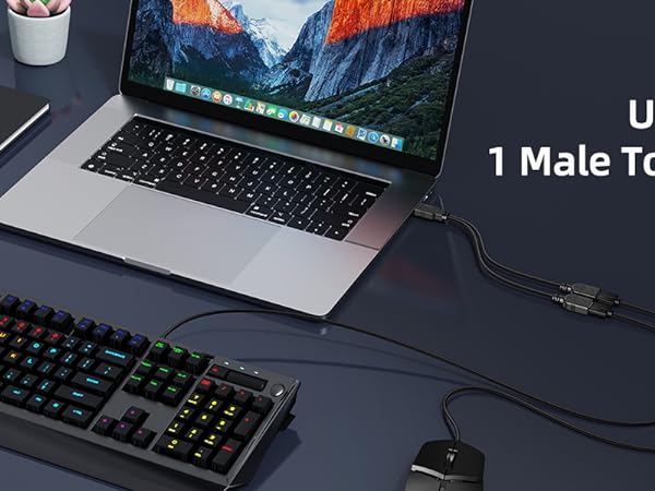 USB splitter cable connecting laptop to keyboard. Text overlay: 'USB Splitter 1 Male To 2 Female'. Desk setup with notebook and plant visible.