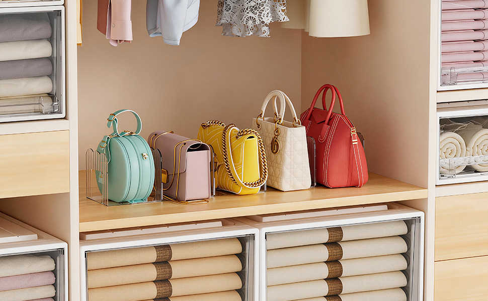 Purse Organizer for Closet