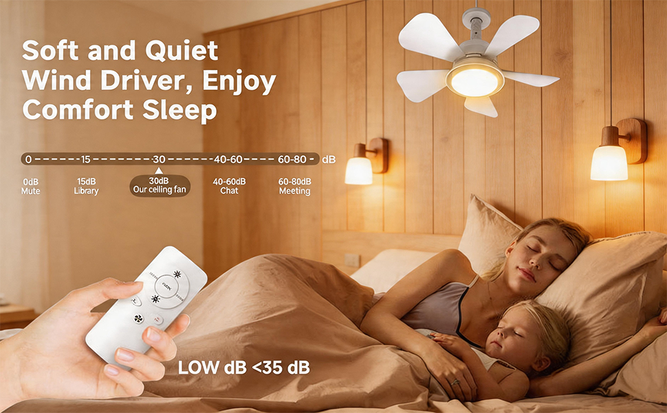 Ceiling Fan with Light
