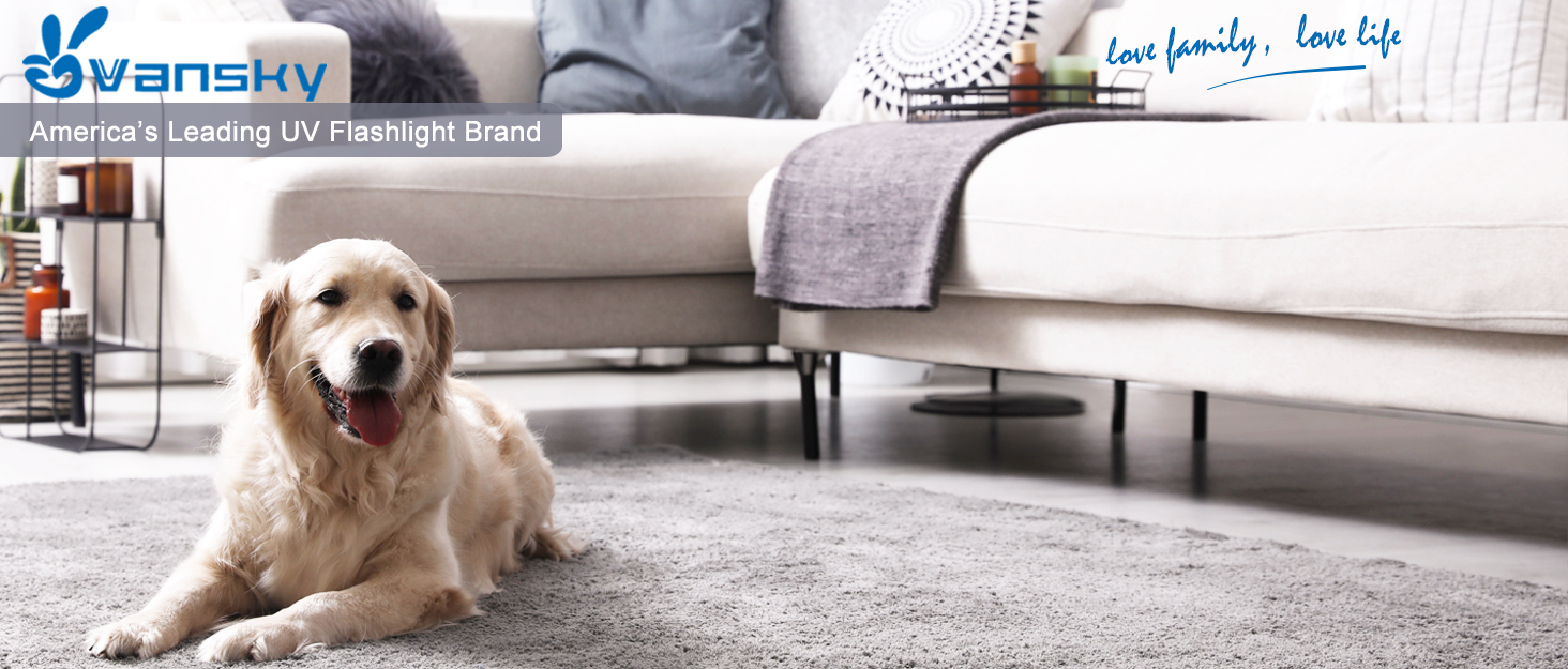 12led blacklight flashlight