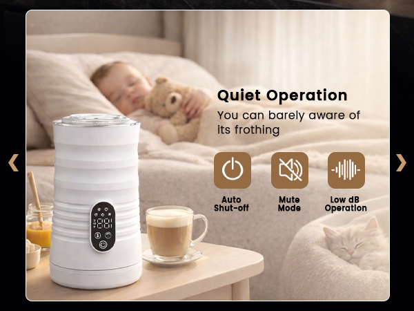 Electric Milk Frother