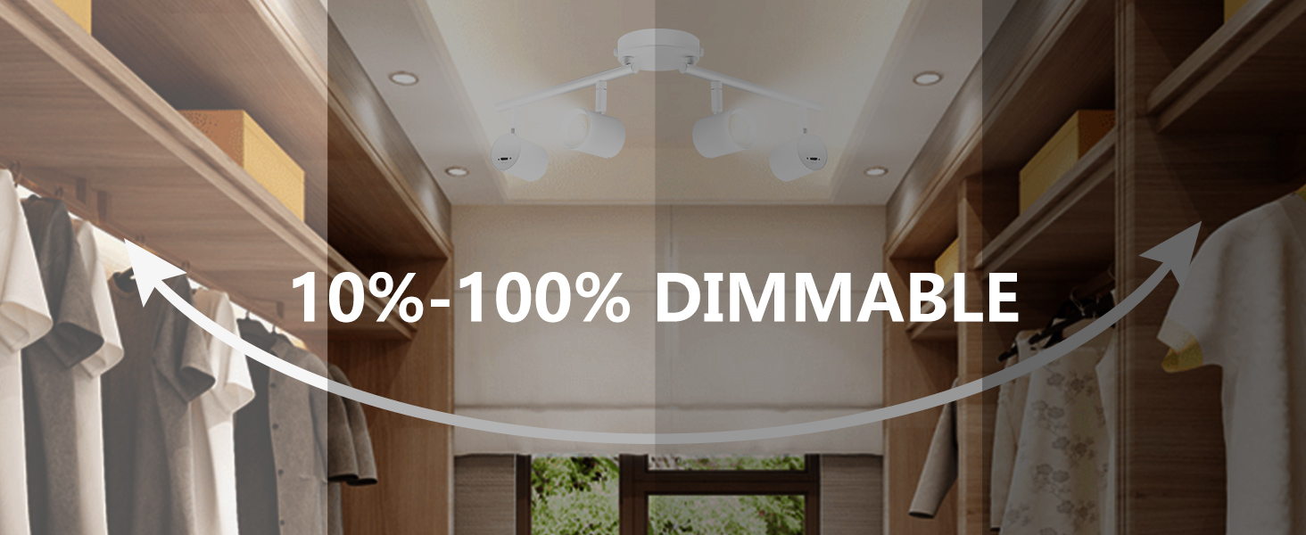 ceiling spotlight