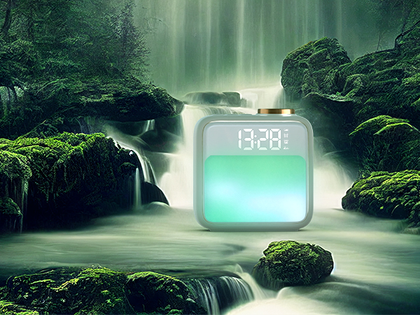  Forest Stream Simulation