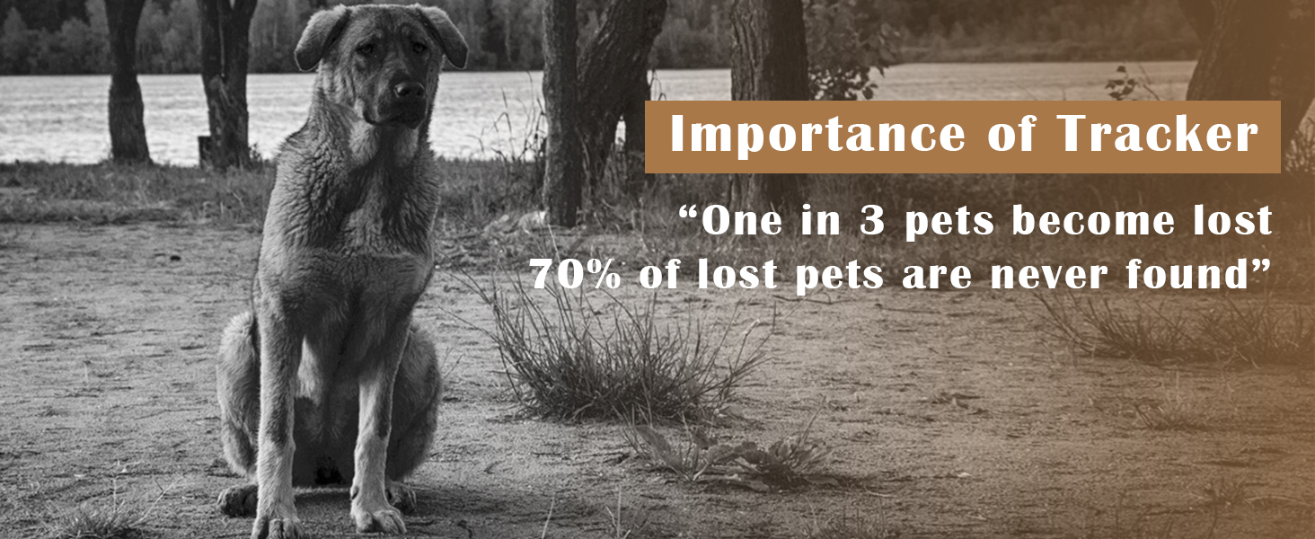 holder for dogs tracking device