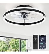LEDIARY Ceiling Fans with Lights and Remote, 20'' Low Profile Ceiling Fan with Light, 3000-6000K ...