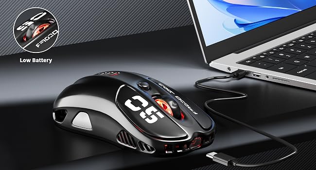 mouse