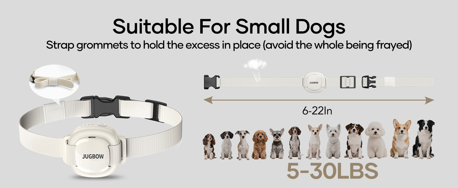 e collar for dogs training