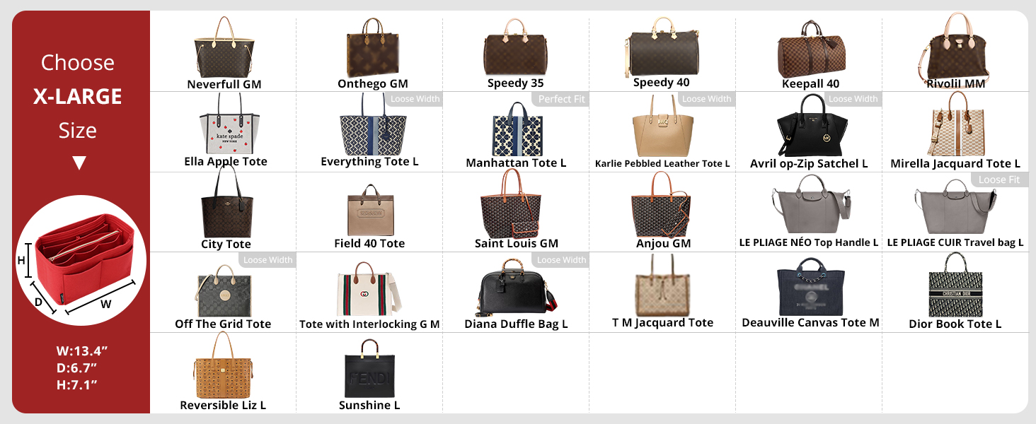 XLarge purse insert