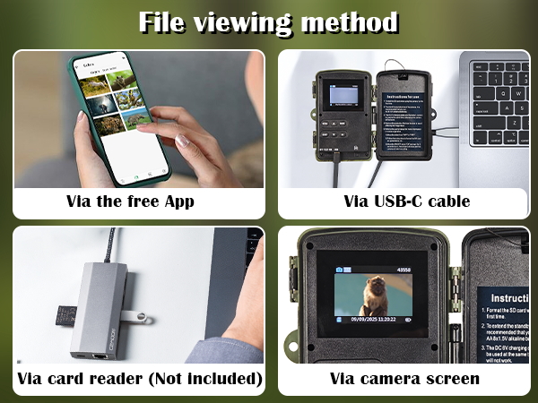 File viewing method