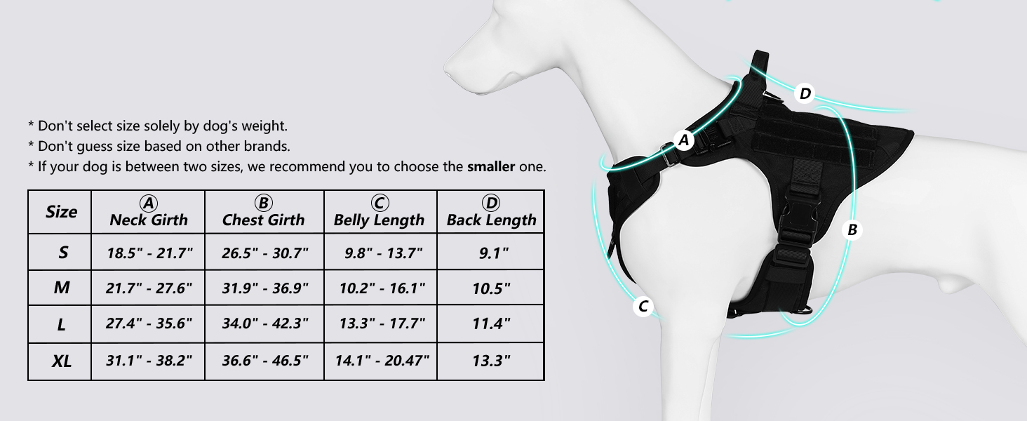 dog harness