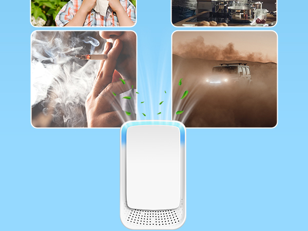air purifiers for home pets