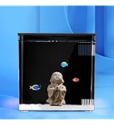 Carefree Fish 1.2Gallon White Fish Tank Office USB Small Aquarium LED Light with Filter (Include ...