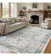 Rugxara Area Rugs 5x7, Washable Rugs for Living Room, Vintage Boho Light Blue Rug for Office, Din...