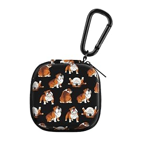 Airpod Carrying Case Storage Bag