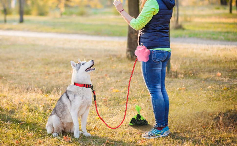 red dog collar