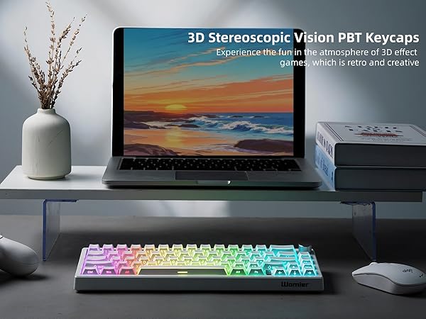 PBT Shine Through Keycaps Manga White, OEM Profile Side Printed Custom Key caps