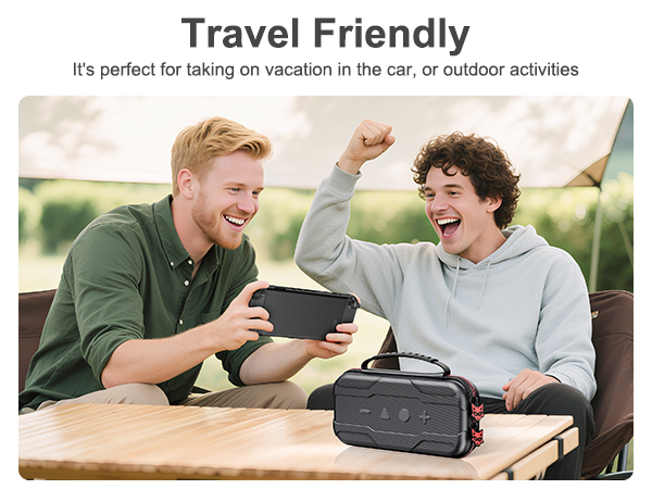 Switch 2 travel case