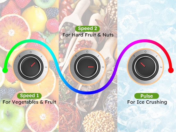 blender and food processor combo