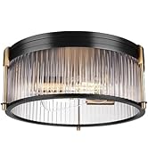 Rosient Industrial Flush Mount Ceiling Light, Rustic Ceiling Lamp Fixtures with Clear Glass Shade...