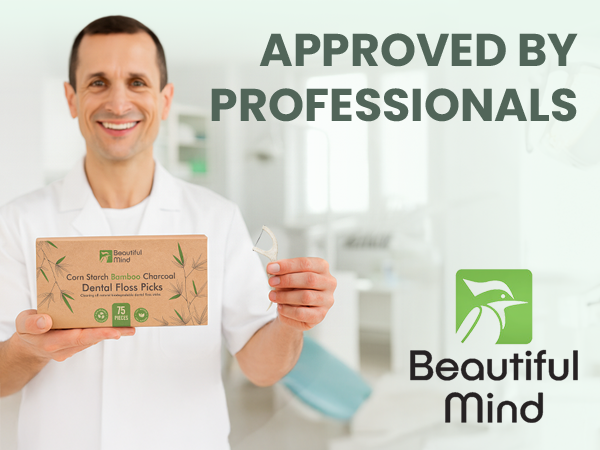 Dental Floss Picks