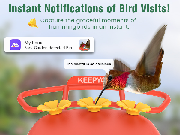 smart hummingbird feeder with camera