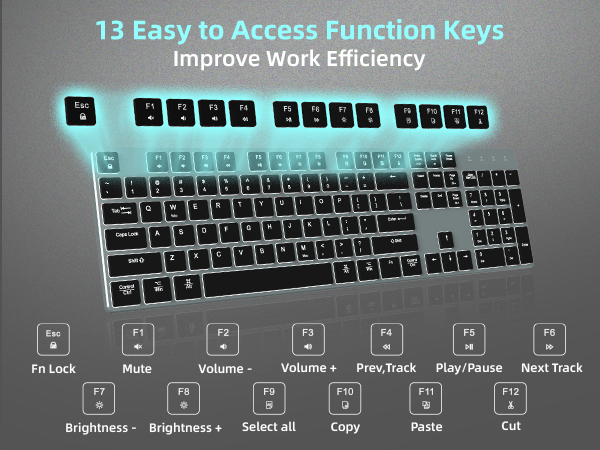 13 multimedia control keys