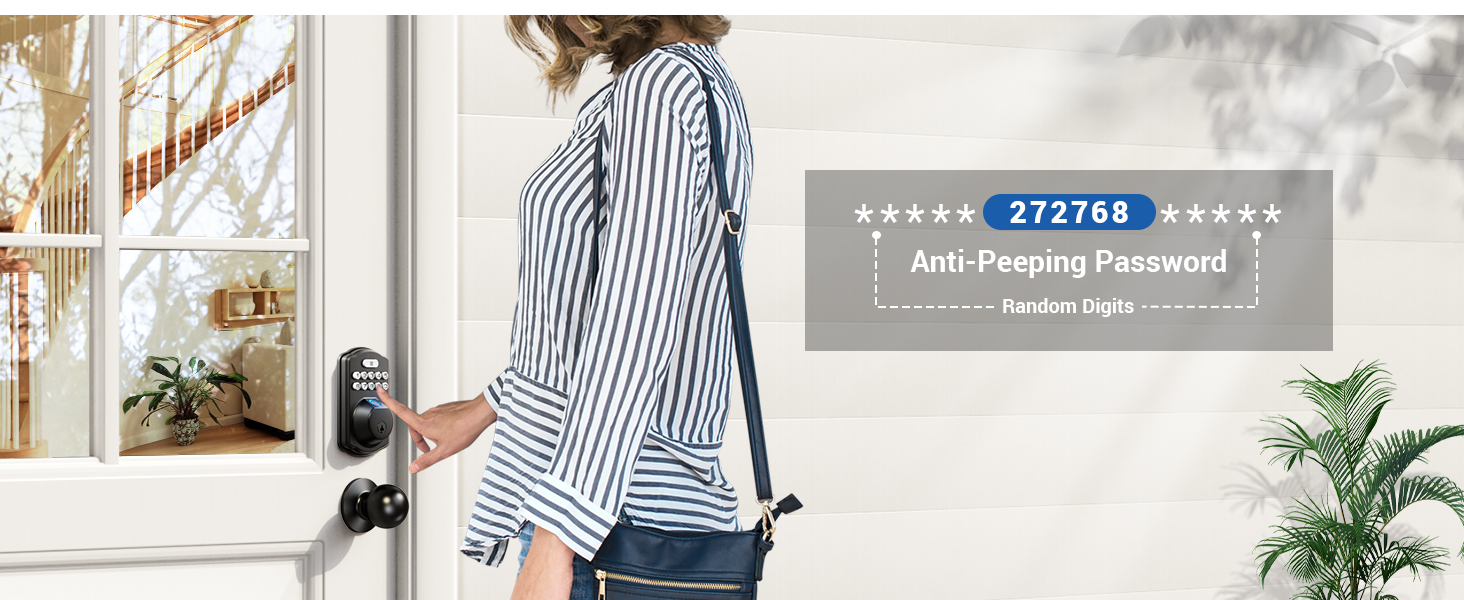 keyless entry door lock with knobs