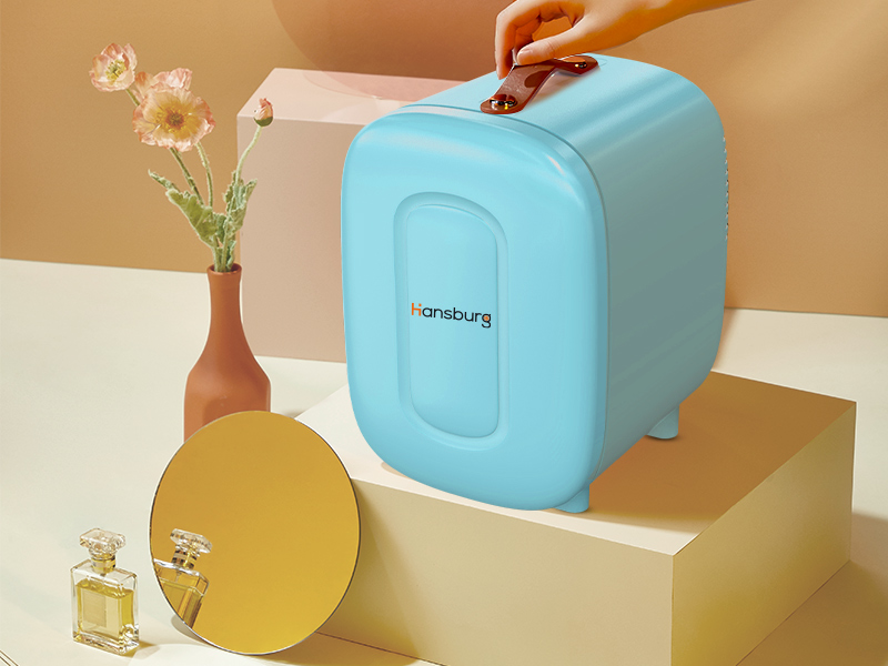 PORTABLE MINI FRIDGE