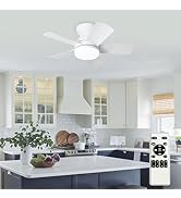 Depuley Modern Ceiling Fan with Light: 25-Inch White Small Fans for Bedroom Indoor Outdoor - Dimm...