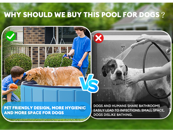 dog pool