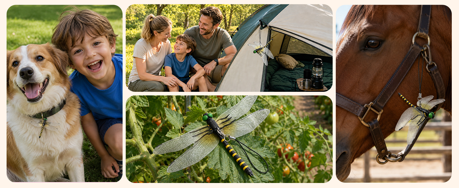 dragonflies to keep bugs away