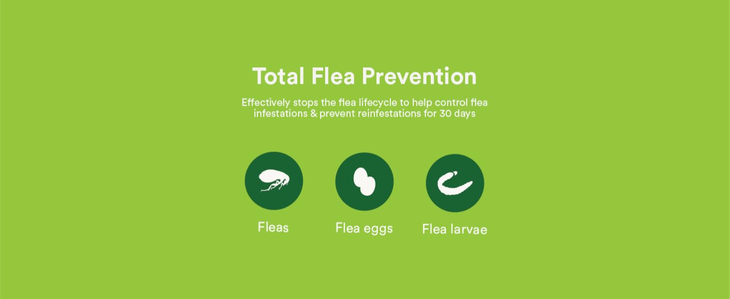 Total Flea Prevention fleas flea eggs flea larvae