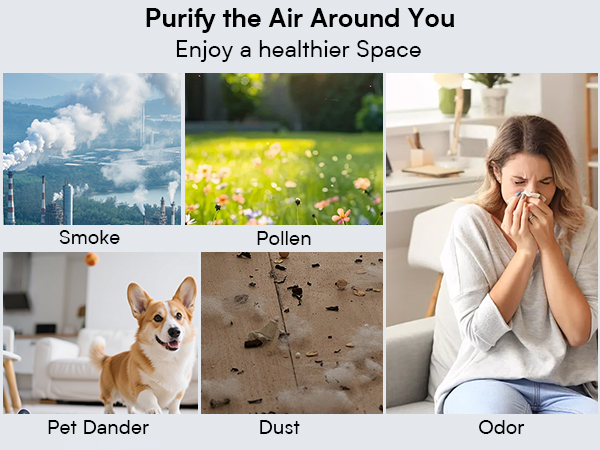 air purifiers for home pets