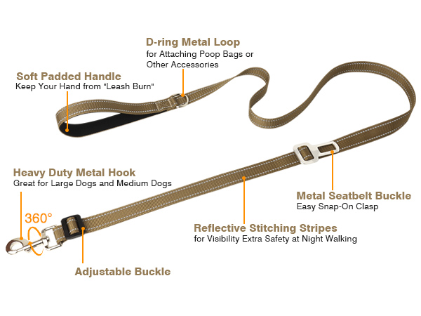 2in 1 dog leash brown