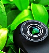 Close-up macro photography showing a spiral or curved line pattern against a dark background with vibrant green foliage visible in the frame.