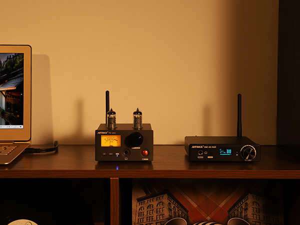 AIYIMA Audio amplifier