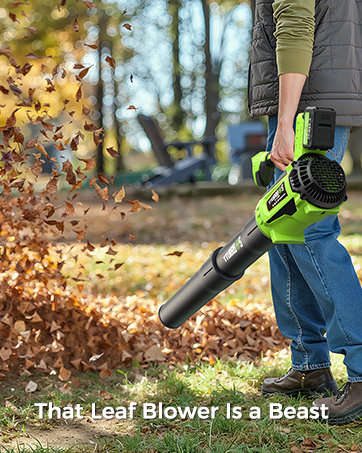 cordless leaf blower