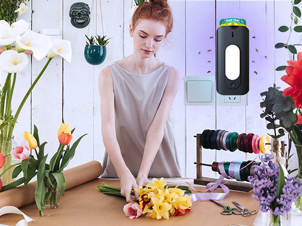 fly traps indoor for home