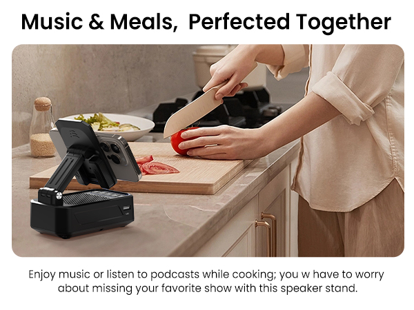 wireless induction bluetooth speaker with phone stand