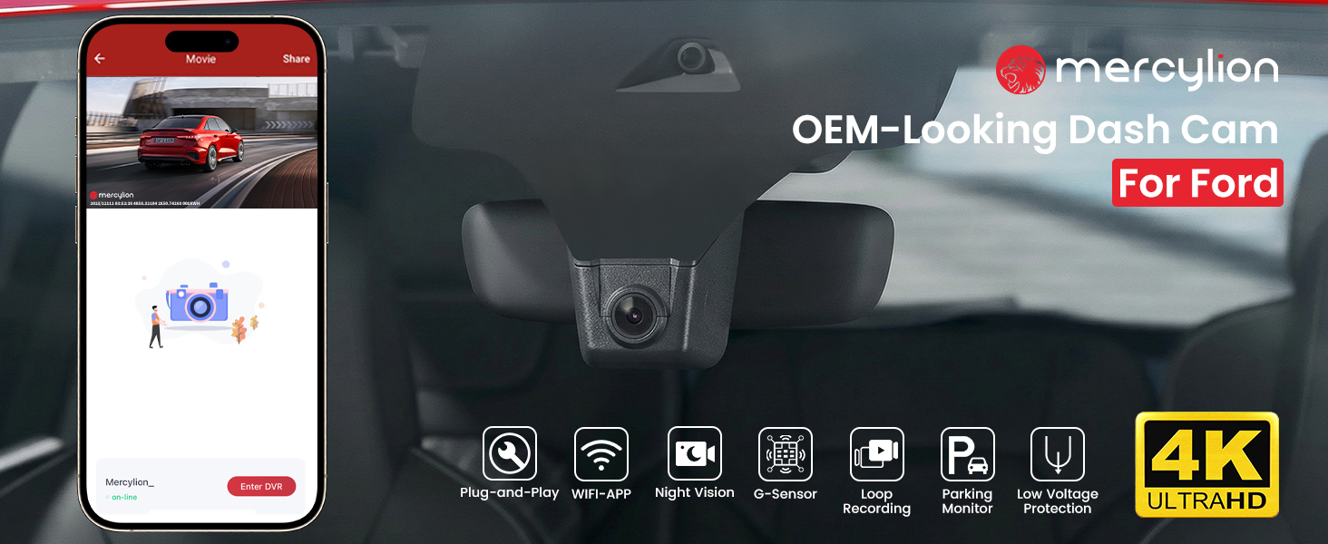 f150 dashcam