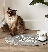 Cat standing by Good Kitty food mat