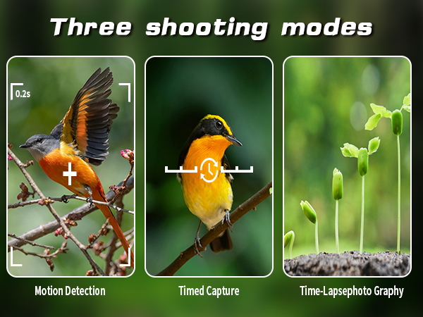 Three shooting modes