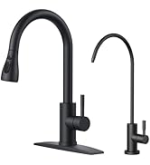 FORIOUS Kitchen Faucet and Water Filter Faucet Combo, Black Stainless Steel Bar Faucet Pull Down ...