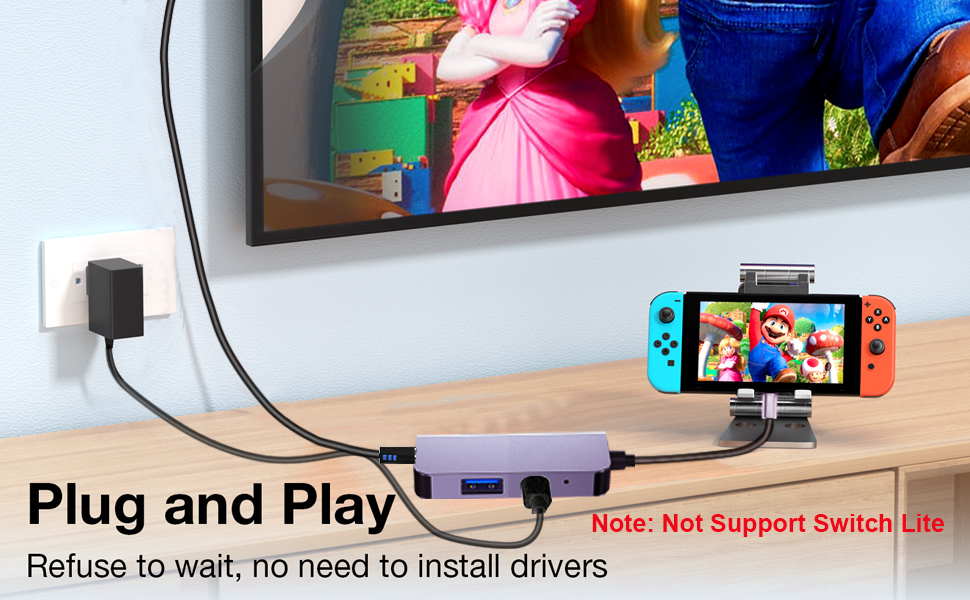switch dock