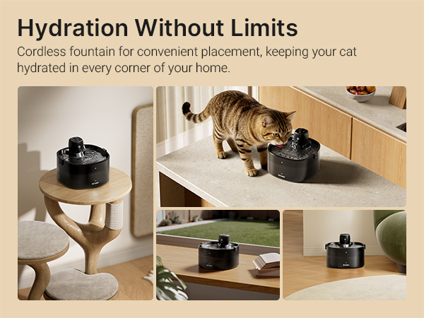 wireless cat water fountain