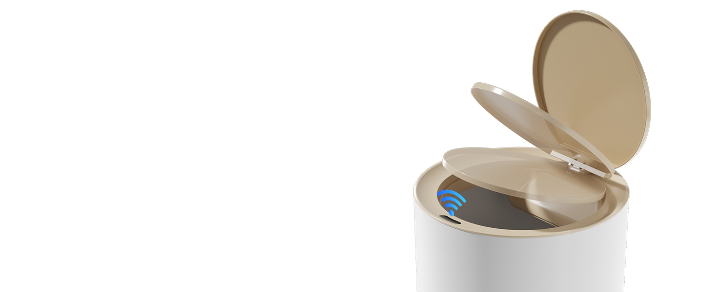 Motion Sensor