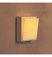 Smilodon Rechargeable Night Light,Dimmable Warm nightlight, Wireless Portable, 30 Minutes Timer, ...